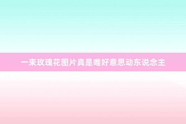 一束玫瑰花图片真是唯好意思动东说念主