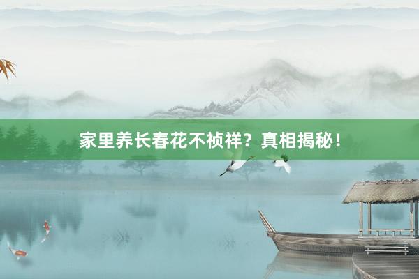 家里养长春花不祯祥？真相揭秘！